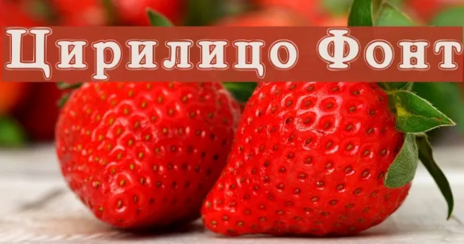 Cirilico Font Example 1