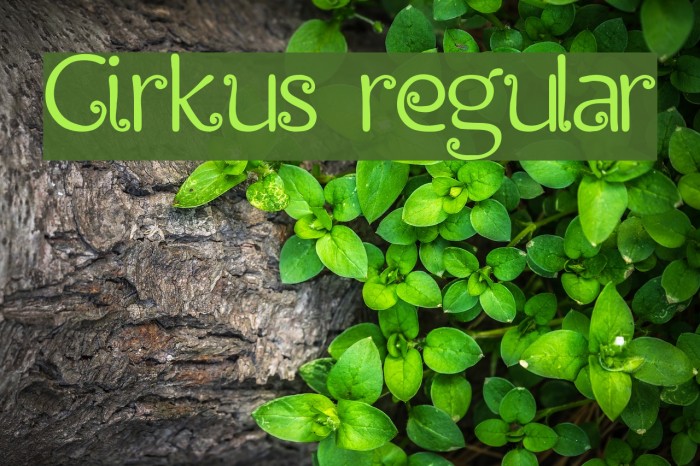 Cirkus regular Font examples