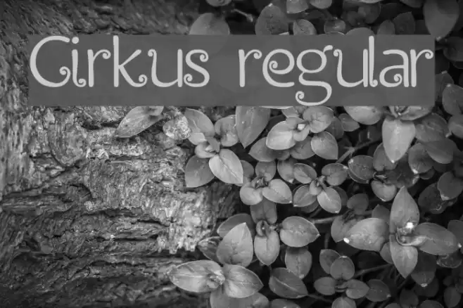 Cirkus regular Font examples