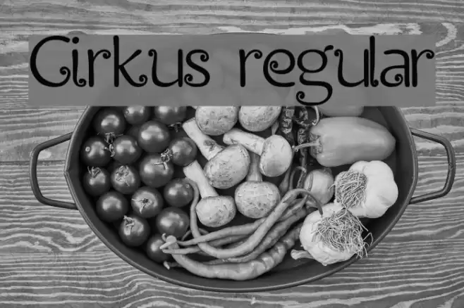 Cirkus regular Font examples