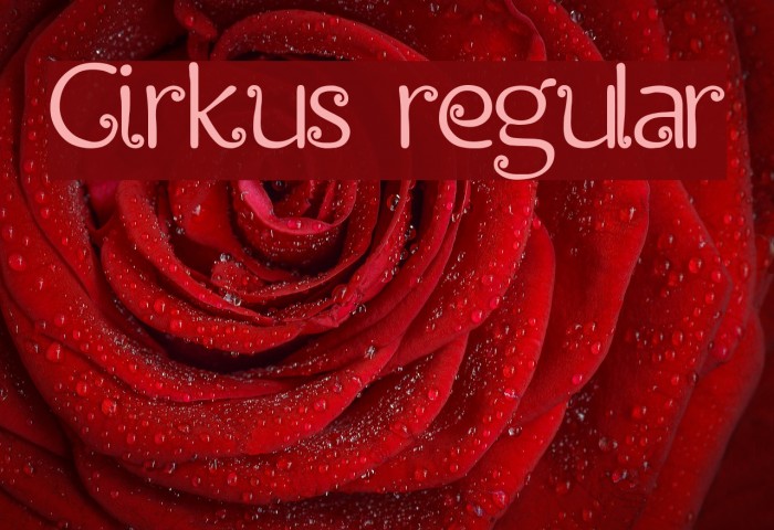 Cirkus regular Font examples