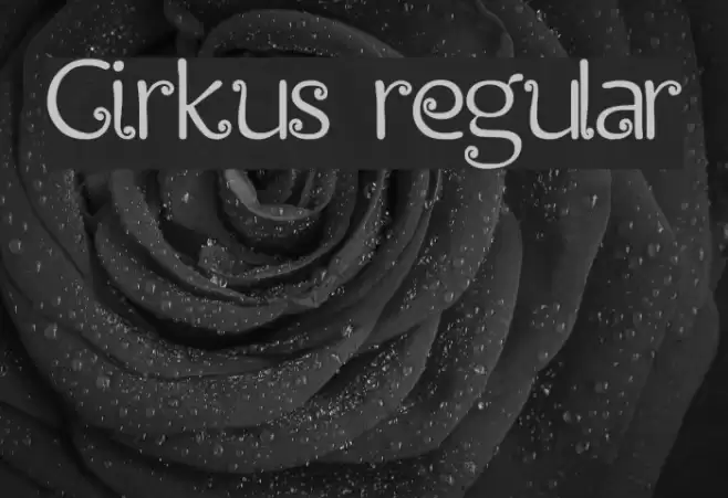 Cirkus regular Font examples