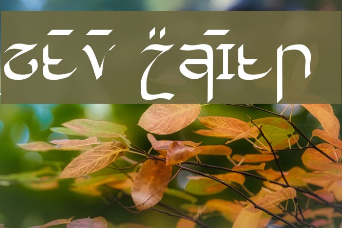 Cirnaja Bookhand Font examples