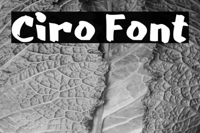 Ciro Font examples