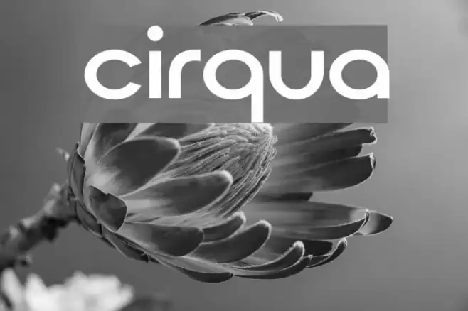 Cirqua Font examples