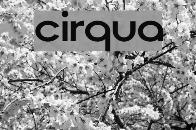 Cirqua Font examples