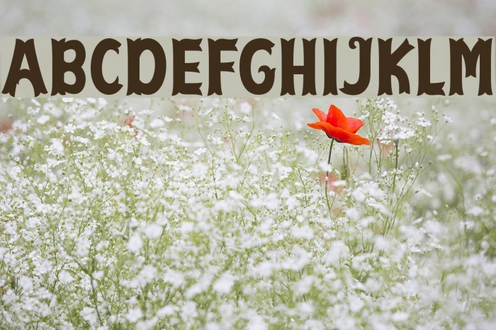 Cirquesa Font examples