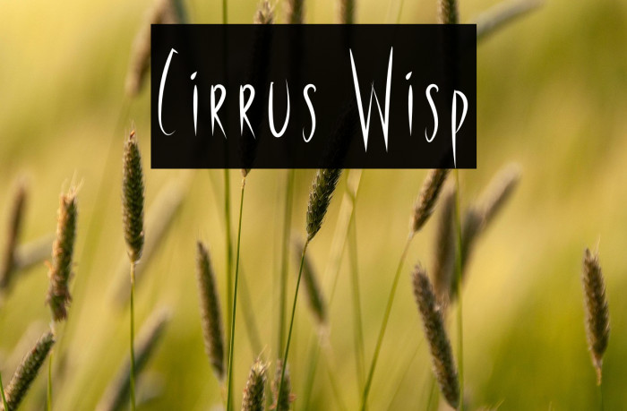 Cirrus Wisp Example 1
