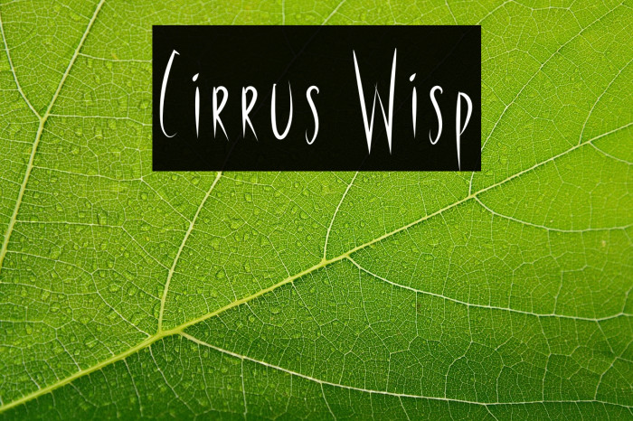 Cirrus Wisp Example 2