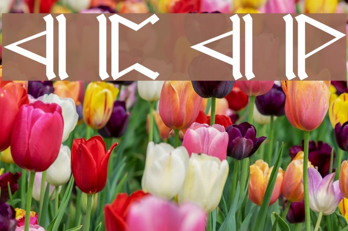 Cirth Erebor Caps 1 Font examples