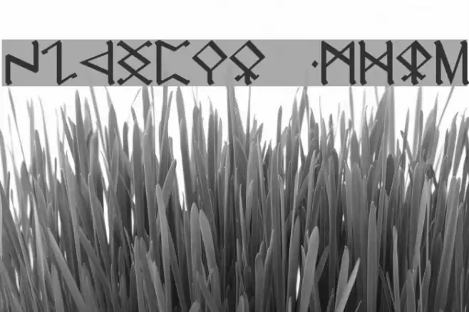 Cirth Erebor Caps Font examples