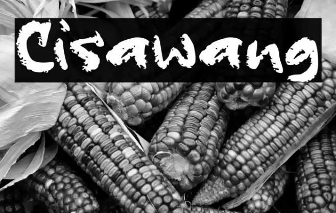 Cisawang Font examples