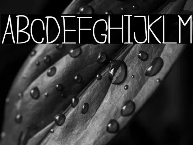 Cisca Note Font examples