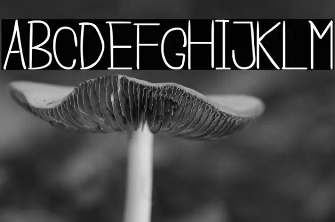 Cisca Note Font examples