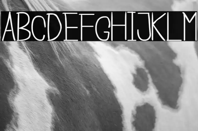 Cisca Note Font examples