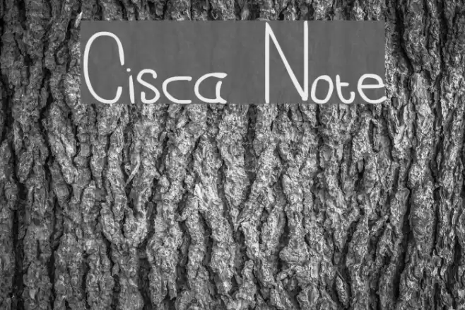 Cisca Note Font examples