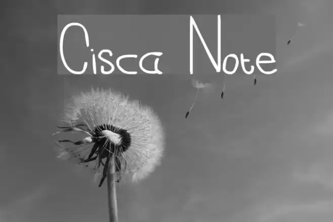 Cisca Note Font examples