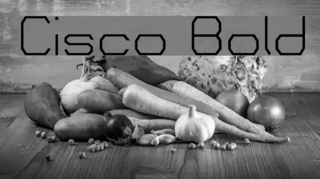 Cisco Bold Font examples