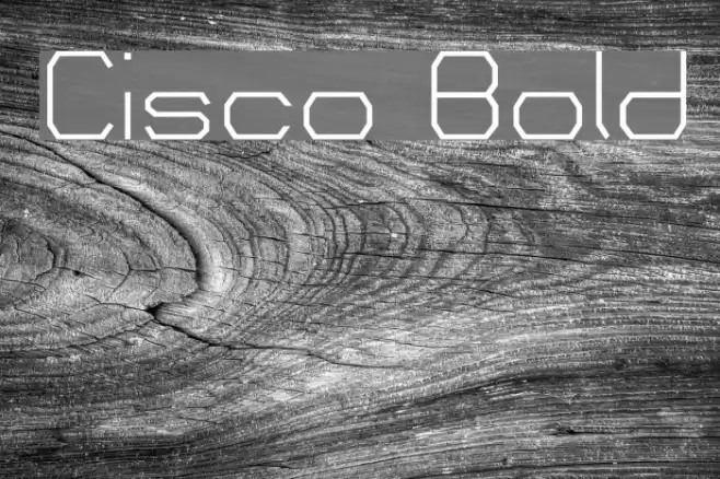 Cisco Bold Font examples