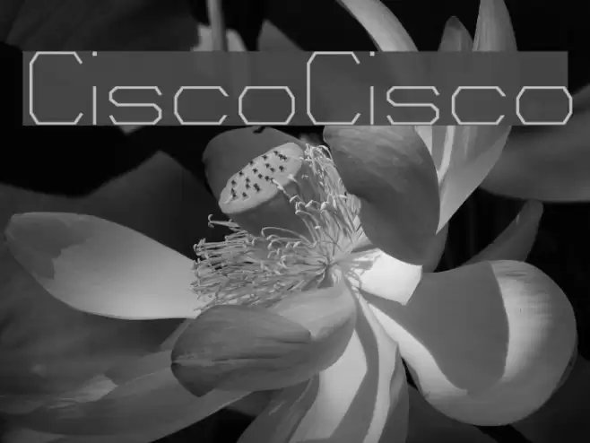 CiscoCisco Font examples