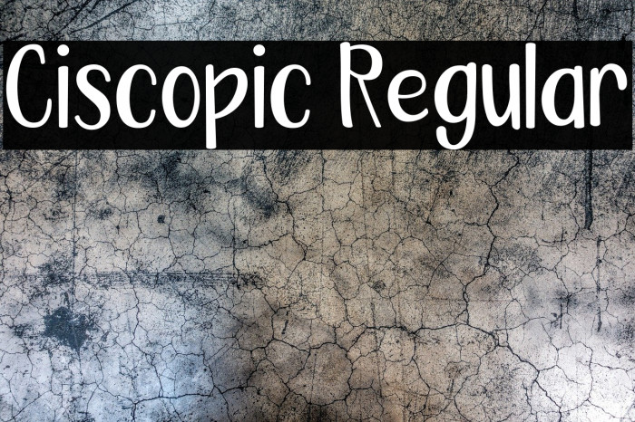 Ciscopic Regular Font examples