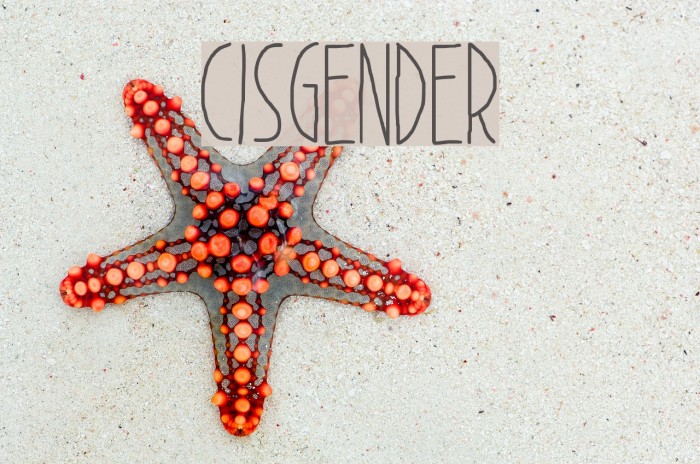 Cisgender Font examples