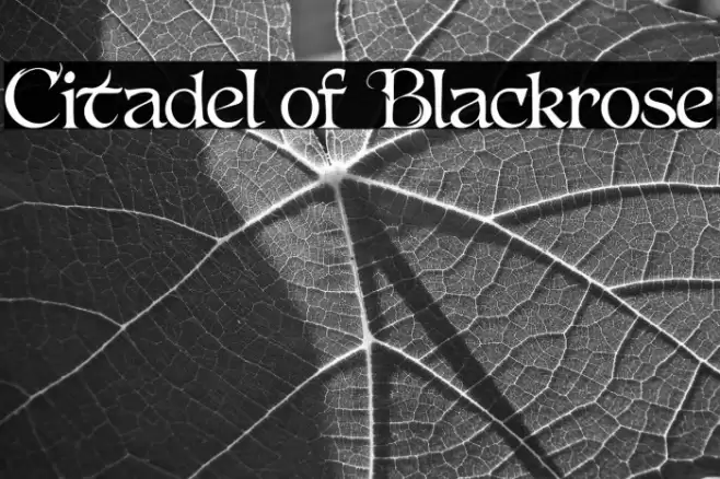 Citadel of Blackrose फ़ॉन्ट examples