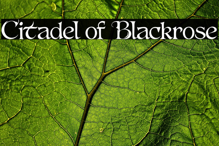 Citadel of Blackrose Example 2