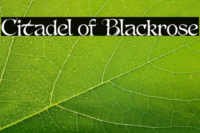 Citadel of Blackrose Example 3