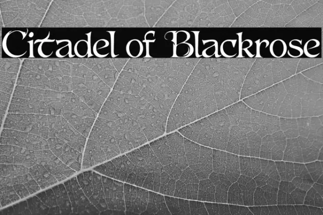 Citadel of Blackrose फ़ॉन्ट examples