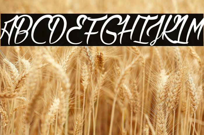 Citadelle Papillon_PersonalUseOnly Example 2