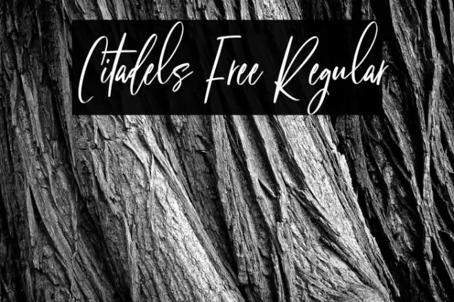 Citadels Free Regular Font examples