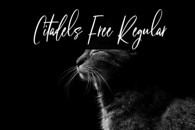 Citadels Free Regular Font examples