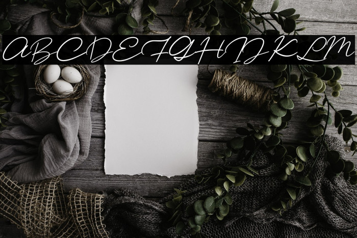 CitanyaScriptdemo-Regular Example 3