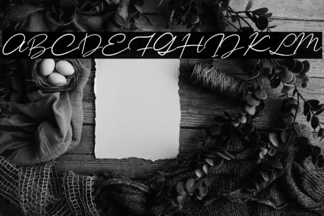 CitanyaScriptdemo-Regular Font examples