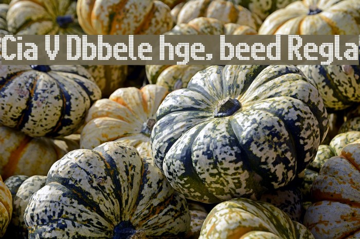 Citaro Voor [Dubbele hoogte, breed] Regular Example 3