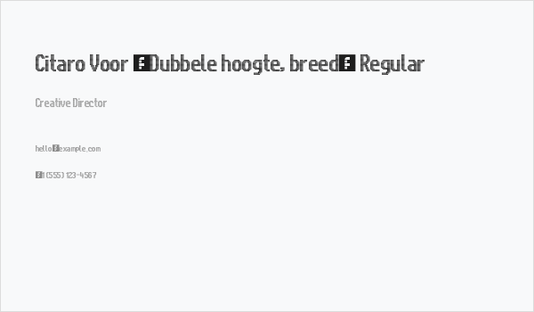 Citaro Voor [Dubbele hoogte, breed] Regular Business Card