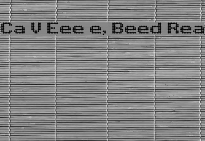 Citaro Voor [Enkele hoogte, Breed] Regular フォント examples