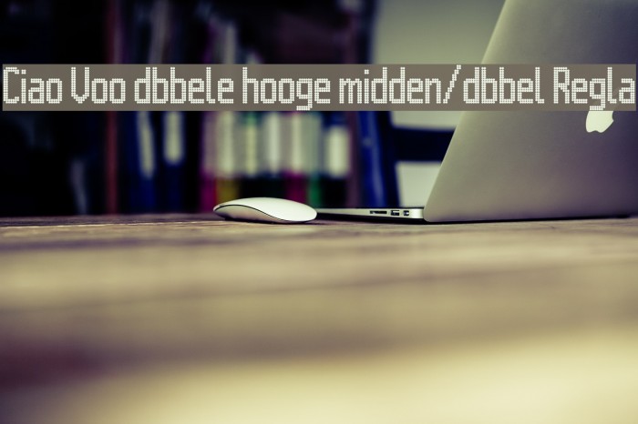 Citaro Voor [dubbele hoogte, midden/dubbel] Regular Example 1