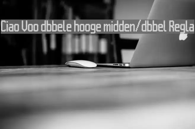 Citaro Voor [dubbele hoogte, midden/dubbel] Regular Fuentes examples