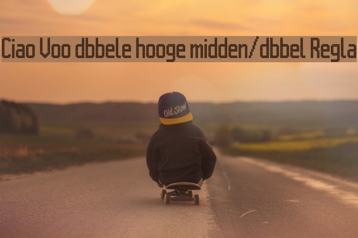 Citaro Voor [dubbele hoogte, midden/dubbel] Regular Example 2