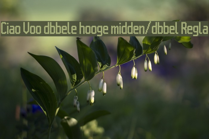 Citaro Voor [dubbele hoogte, midden/dubbel] Regular Example 3