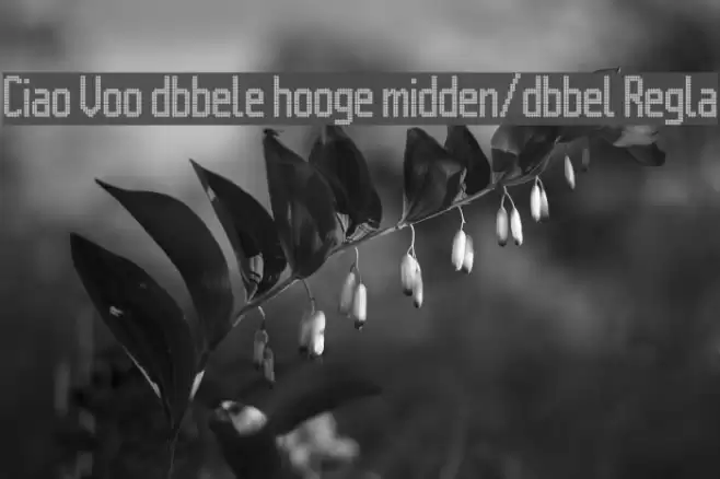 Citaro Voor [dubbele hoogte, midden/dubbel] Regular Fuentes examples