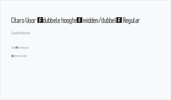 Citaro Voor [dubbele hoogte, midden/dubbel] Regular Business Card