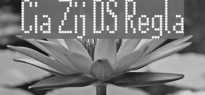 Citaro Zij DS Regular Font examples