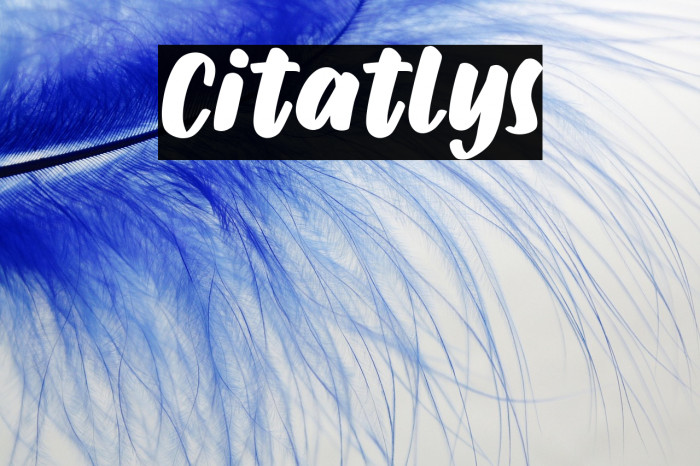 Citatlys Example 1