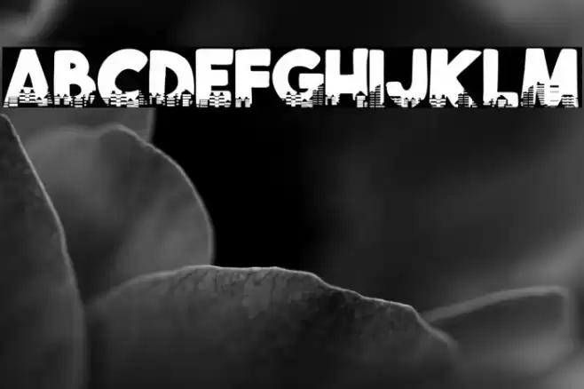 Cities at Night Fuentes examples