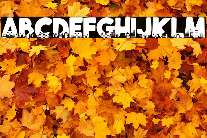 Cities at Night Example 3