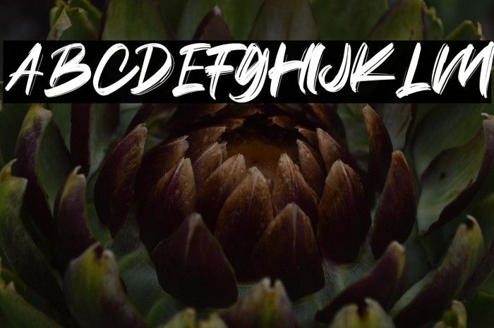 Citizen Brush Example 1