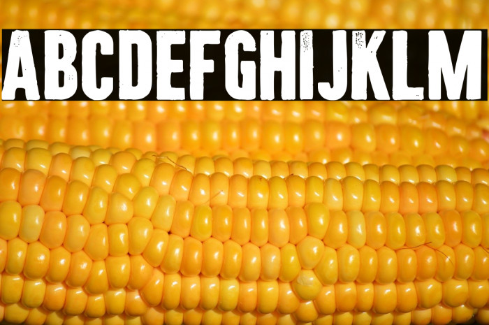 Citizen Carto Example 1